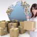 International Moving Companies