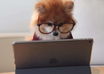 Top 5 Signs That you need blue light Protection Glasses