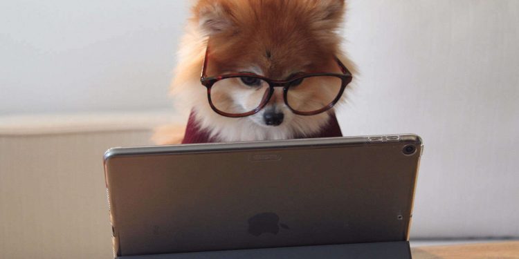 Top 5 Signs That you need blue light Protection Glasses