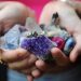 Can You Bring Positivity in Your Life with Gemstones?