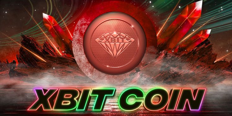 Broad information about what the Xbit Project is all about