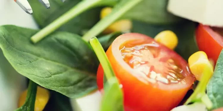 Impact of Exercise and Diet in Addiction Recovery Process