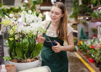 How To Take Care of Cut Flowers in Winter?