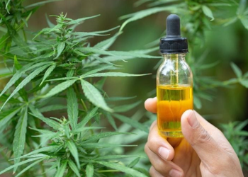How Much CBD Should You Take?