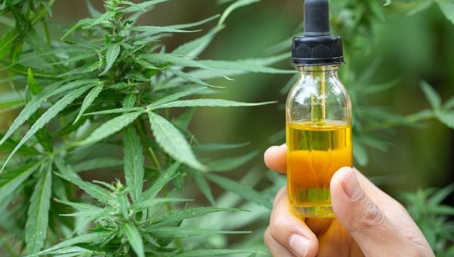 How Much CBD Should You Take?