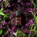 How to Use Frankincense Hydrosols: Plus Hydrosol Recipes for Skin, Face and Hair