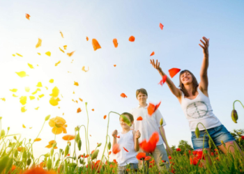 5 Ways to Use Videos for More Engagement on Instagram