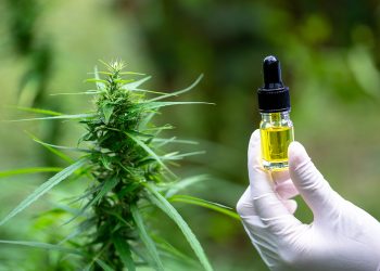 Can CBD Help Manage Epilepsy?