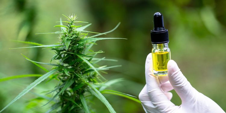 Can CBD Help Manage Epilepsy?