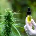 Can CBD Help Manage Epilepsy?