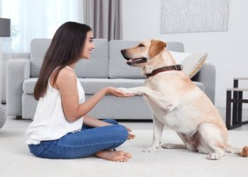 Health Benefits of Having a Dog