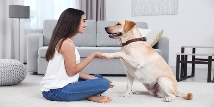 Health Benefits of Having a Dog