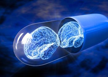 Modafinil increases brainpower and productivity