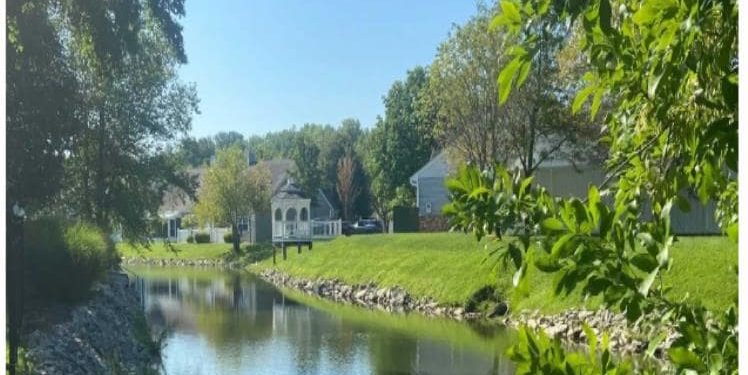 Independent living or assisted living? Read this Before Choosing