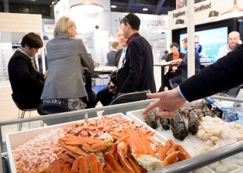 Explore new seafood from the Global Seafood