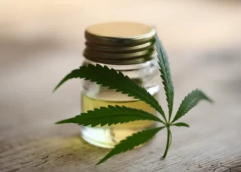 CBD and Drug Tests: How to Pass A Drug Test Even After Taking CBD