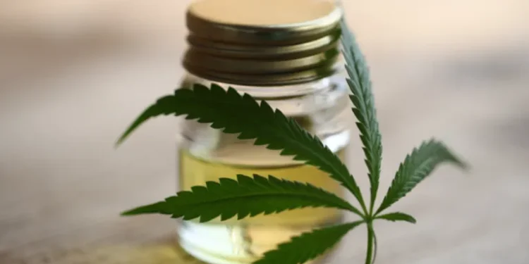 CBD and Drug Tests: How to Pass A Drug Test Even After Taking CBD