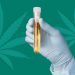 CBD and Drug Tests: How to Pass A Drug Test Even After Taking