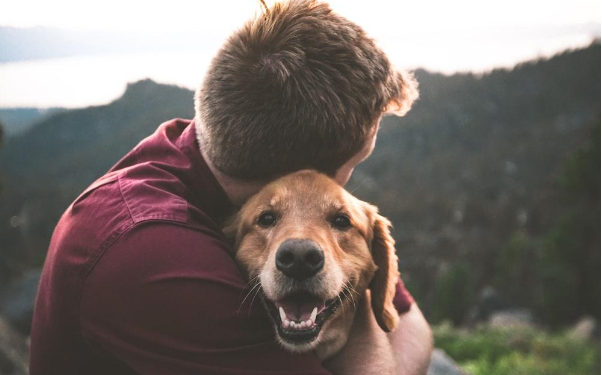 Do you have to be completely blind to have a guide dog?